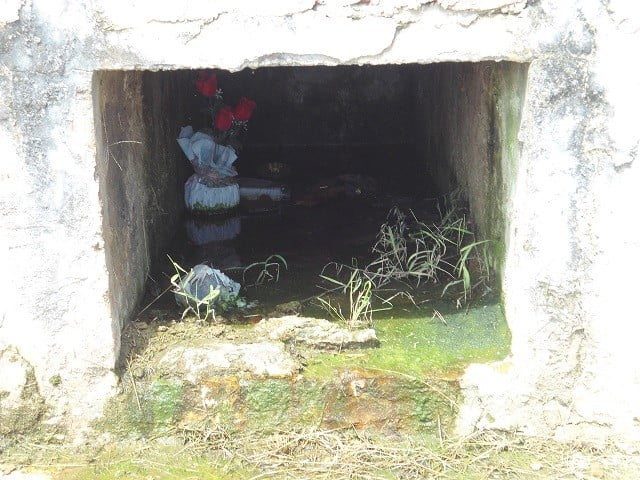 Foto: Júnior Cardoso 