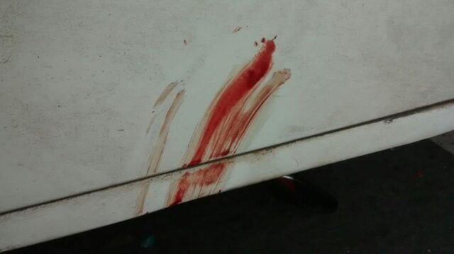 10409343_10204218216168640_3503778713916129861_n