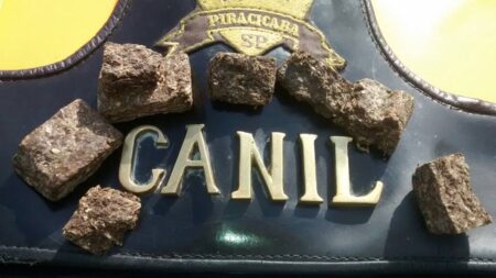 Homem alegou ter comprado para usar e revender - Foto: Valter Martins / Piracicaba em Alerta