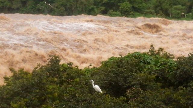 Foto: Júnior Cardoso / PiraNOT Piracicaba