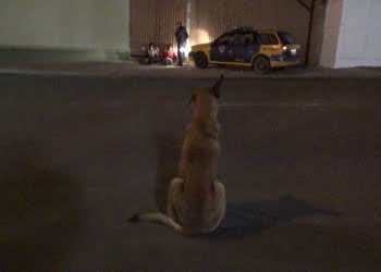 Foto: DivulgaÃ§Ã£o