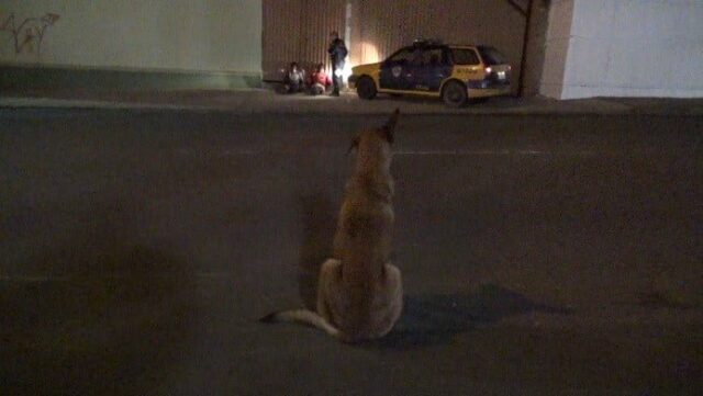 Foto: DivulgaÃ§Ã£o