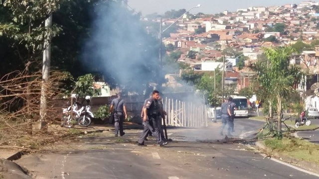 Foto: Valter Martins / PIRANOT