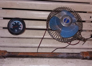 Foto: Valter Martins / PIRANOT