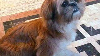 Ana está desaparecida desde o ultimo dia 25. (Reprodução/Arq. pessoal)