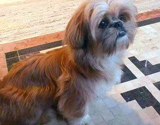 Ana está desaparecida desde o ultimo dia 25. (Reprodução/Arq. pessoal)