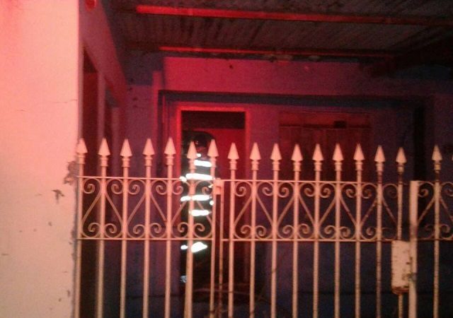 Foto: Wagner Romano / PIRANOT