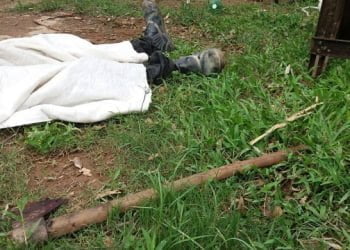 Foto:  Jorge Silva / Gazeta de Votorantim