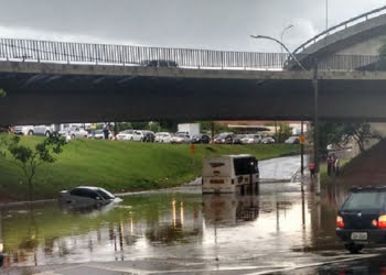 Foto: Você no PIRANOT