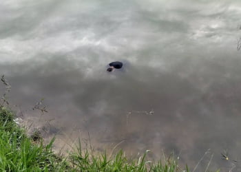 Foto: Paulo César Ferraz / Você no PIRANOT