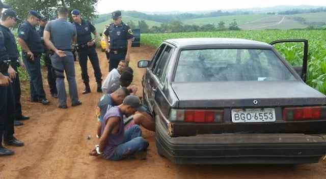 Bandidos matam três cachorros para roubar casa em Piracicaba