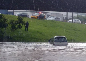 Foto: Ivanei Andrade / PIRANOT