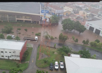 Foto: Fabiana Pereira / Você no PIRANOT