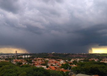 Foto: Paula Tanno Borelli / Você no PIRANOT