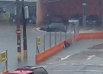 Foto: Você no PIRANOT