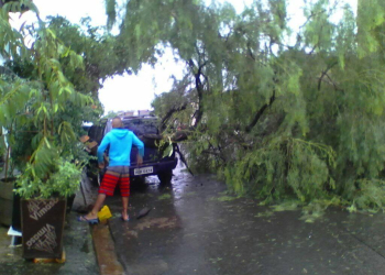 Foto: Graziele Nunes Geraldi / Você no PIRANOT
