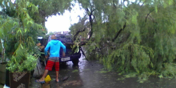 Foto: Graziele Nunes Geraldi / Você no PIRANOT