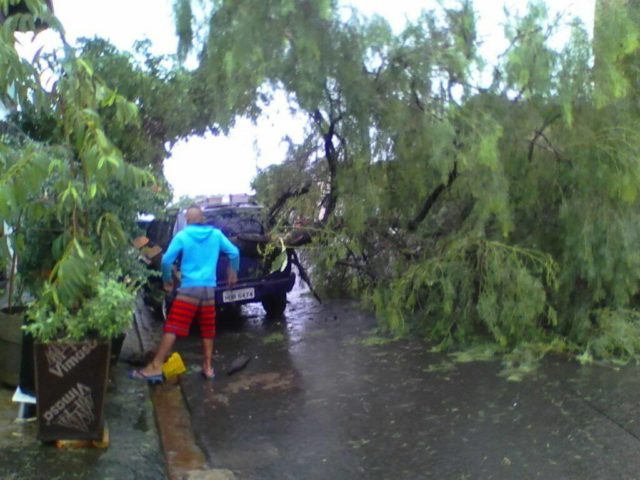 Temporal derruba árvores e deixa alguns pontos de Piracicaba sem energia