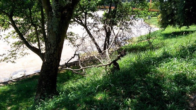 Foto: PiraNOT Piracicaba 