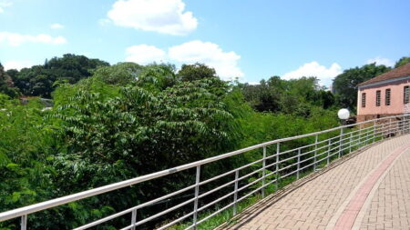 Foto: PiraNOT Piracicaba