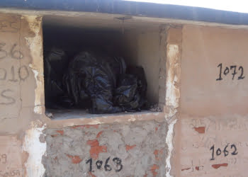 Foto: JÃºnior Cardoso