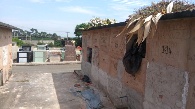 Foto: Júnior Cardoso 