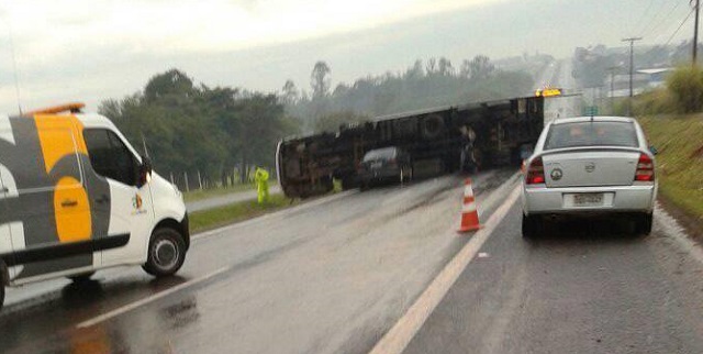 Cavalo morre em acidente com caminhão em rodovia de Piracicaba