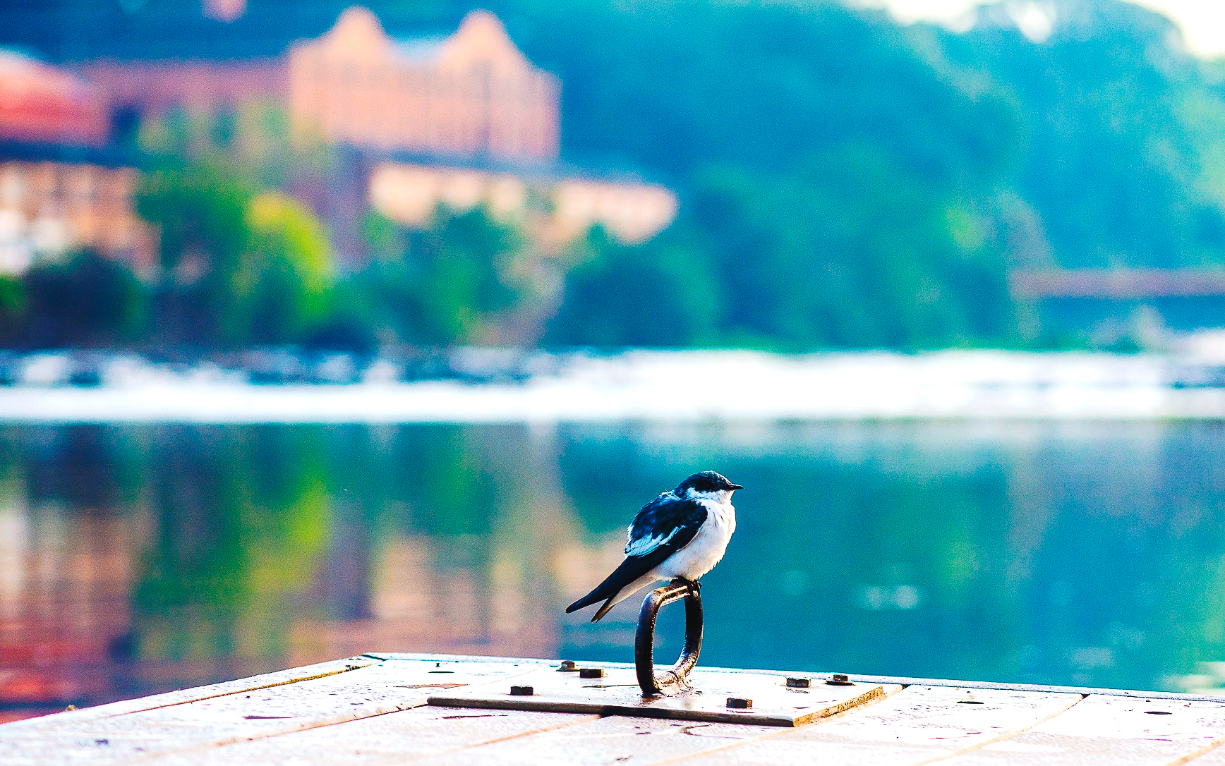Exposição “Pescador de Imagens” revela ângulos diferentes do rio Piracicaba