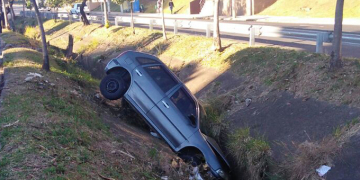 Foto: Colaboradores PIRANOT