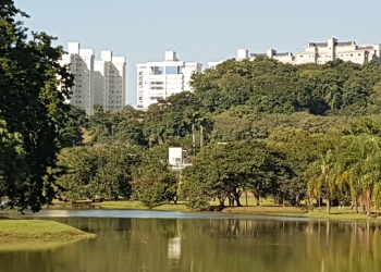 Foto: Júnior Cardoso / PIRANOT