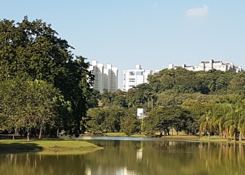 Foto: Júnior Cardoso / PIRANOT