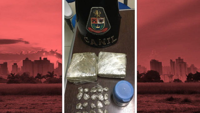 Cão Shark, da PM, localiza drogas em Piracicaba