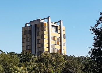 Foto: Júnior Cardoso / PIRANOT