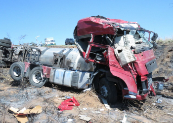 Foto: Gustavo Alves de Oliveira / PIRANOT