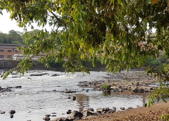 Foto: Júnior Cardoso / PIRANOT