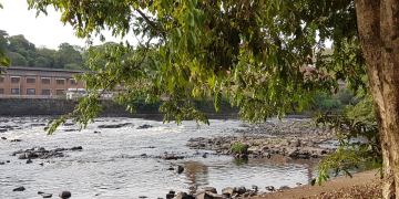 Foto: Júnior Cardoso / PIRANOT