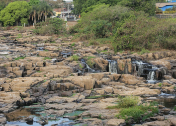 Foto: Gustavo Alves de Oliveira / PIRANOT