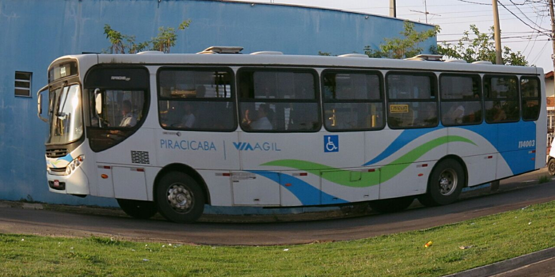 Foto: Gustavo Alves de Oliveira / PIRANOT