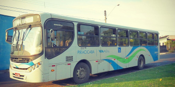 Foto: Gustavo Alves de Oliveira / PIRANOT