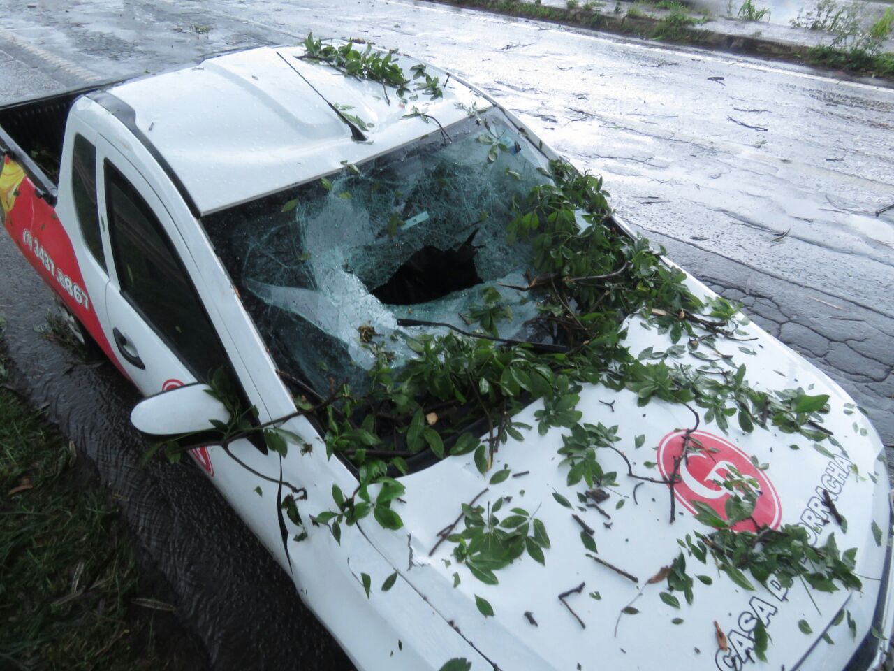 Bombeiros cortam árvore e liberam trânsito na Geraldo de Barros, em Piracicaba