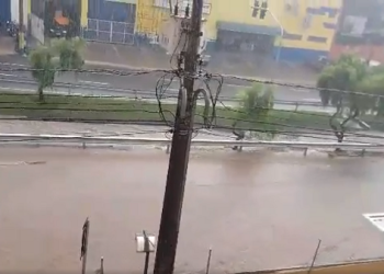 Foto: Leticia Fuzatto / PIRANOT