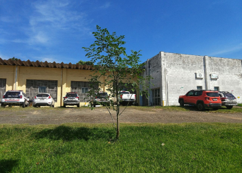 Foto: Wagner Romano / PIRANOT