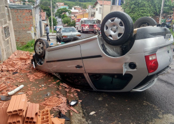 Foto: Wagner Romano/ PIRANOT