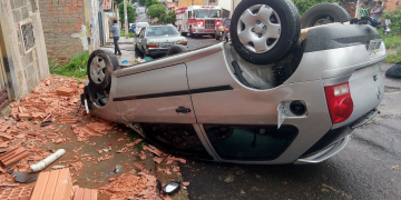 Foto: Wagner Romano/ PIRANOT