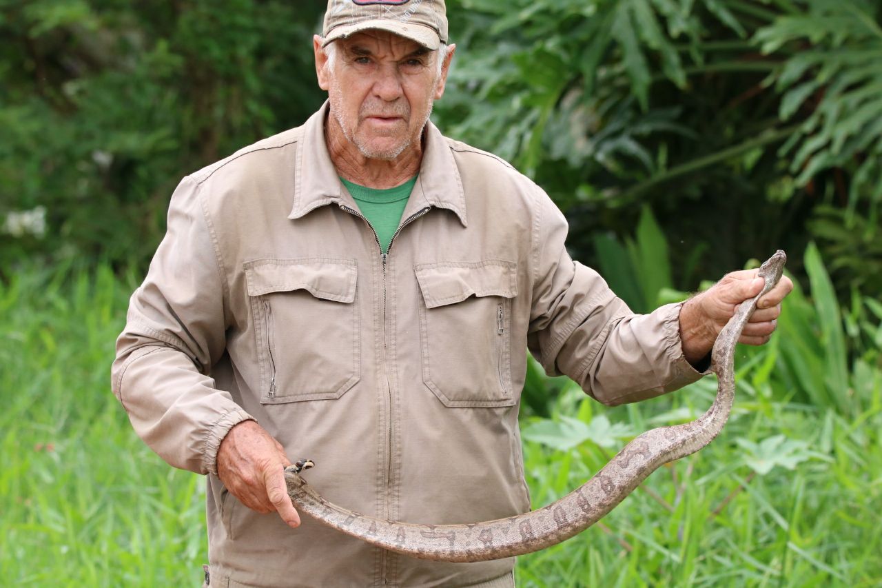 Jibóia é encontrada às margens de represa em Brotas, região de Piracicaba