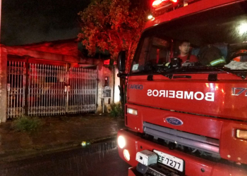 Foto: Wagner Romano / PIRANOT