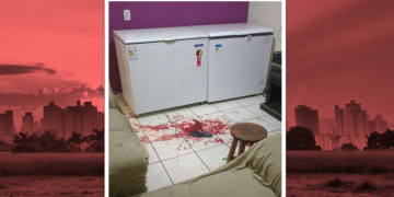 Foto: Você no PIRANOT / PORJUCA