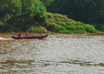 Foto: Wagner Romano / PIRANOT.