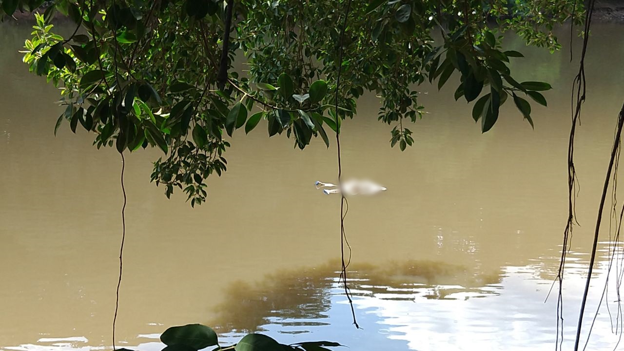 Cadáver encontrado no Rio Piracicaba esta semana segue sem identificação