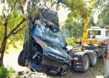 Foto: Wagner Romano / PIRANOT